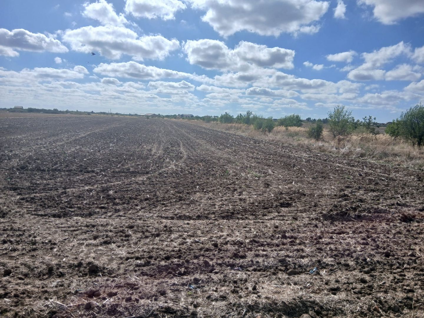Teren de vanzare 4500mp Strada Rasaritului Darvari Ciorogarla A0 - Poză 4
