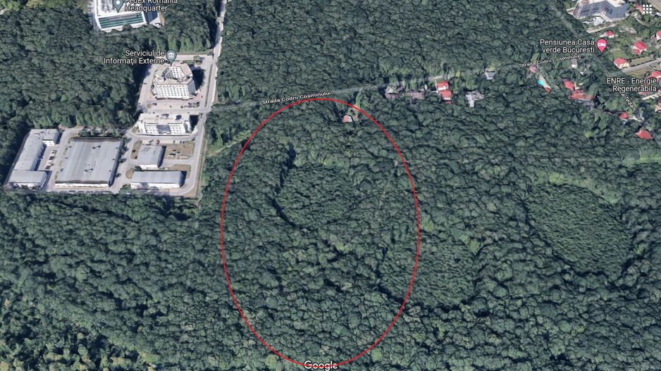 46644 mp teren in Padurea Baneasa proiect exclusivist - Poză 3