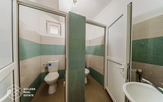 Proprietate pretabila pentru afacere, Cladova - Poză 18