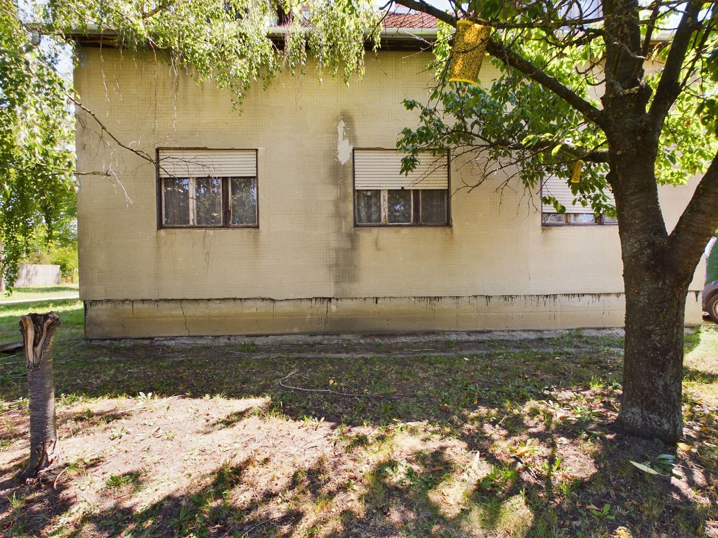 Oportunitate unică în Bătania - Poză 1