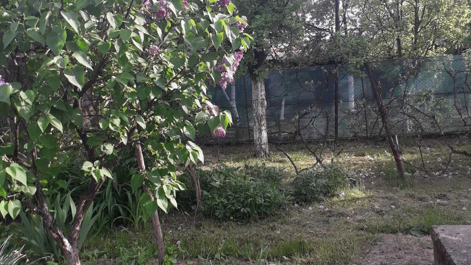 Vând casă cu teren mare 33,3 ari zona Baritiu - Poză 5