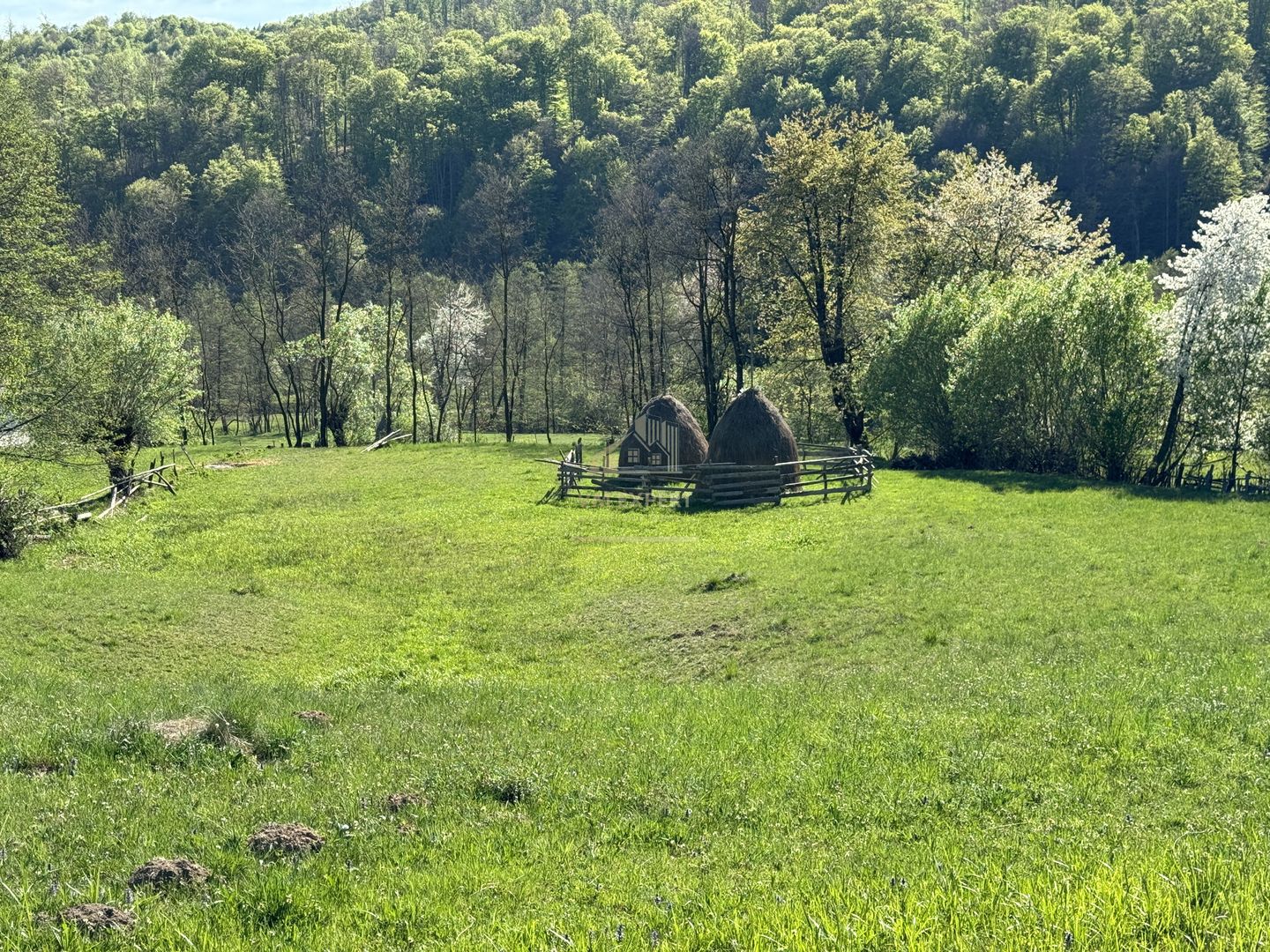 TEREN INTRAVILAN 2592 MP,  ALBESTI DE MUSCEL, ARGES - Poză 11