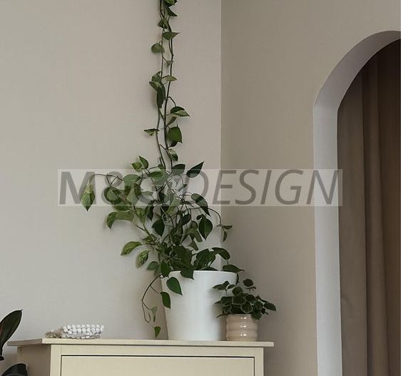 Apartament 3 camere Traian - Poză 6
