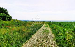 28.554 mp TEREN EXTRAVILAN, TURDA – SĂNDULEȘTI, jud. CLUJ - Poză 9