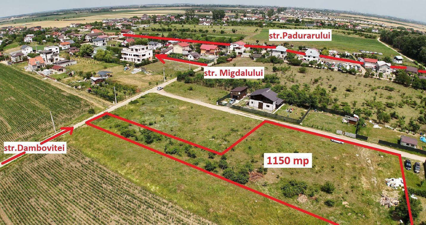 DOMNESTI-TEGHES, TEREN 1.150 MP! - Poză 5