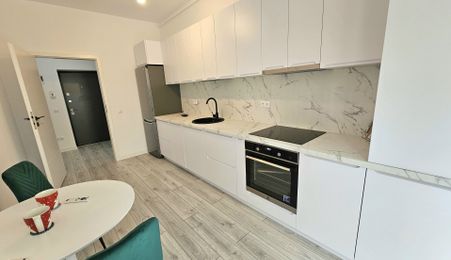 Studio 41 mp, balcon bucatarie separata , intabulata zona Brana