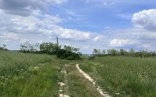 Teren Extravilan | Oportunitate de investiție | Bihor - Poză 2