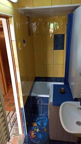 Garsonieră în vilă, terasă 10 mp, curte proprie, mobilată complet, Baba Novac - Poză 5