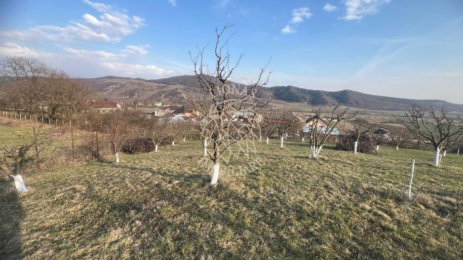 Teren 3100 mp-livada-ideal casa-Mititei - Poză 3