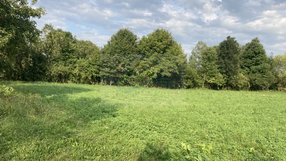 Teren Intravilan 3200 mp de vânzare - Poză 3