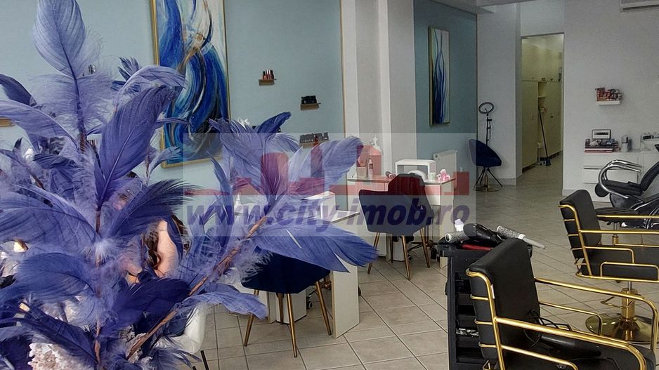 Vanzare Spatiu Comercial Straulesti Nord Bucuresti - Poză 20