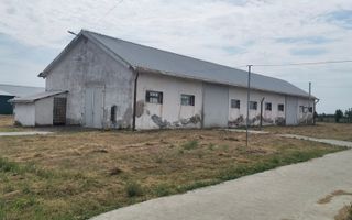 Proprietate industriala la 30 km exterior sud Timisoara - Poză 37