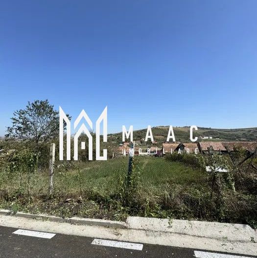 Teren Intravilan | 1230 MP | 2 Parcele | Utilitati | Pauca - Poză 1