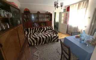 CASĂ 4 CAMERE TEREN 1316 MP LEREȘTI ARGEȘ - Poză 23