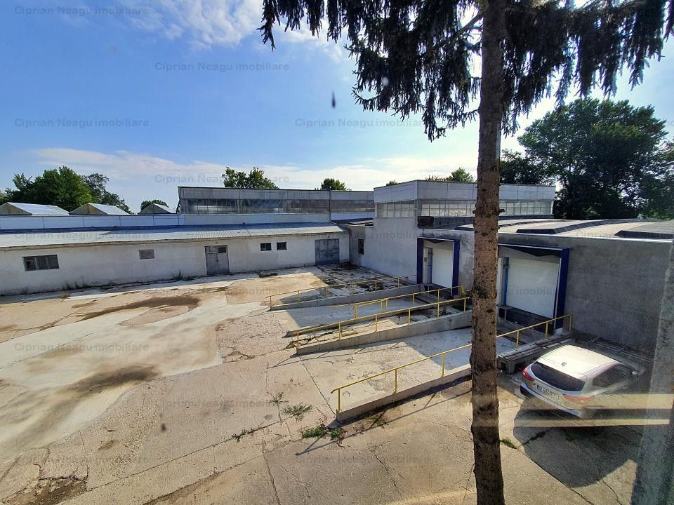 Hala De Inchiriat, zona Depozitelor Pitesti - Poză 13