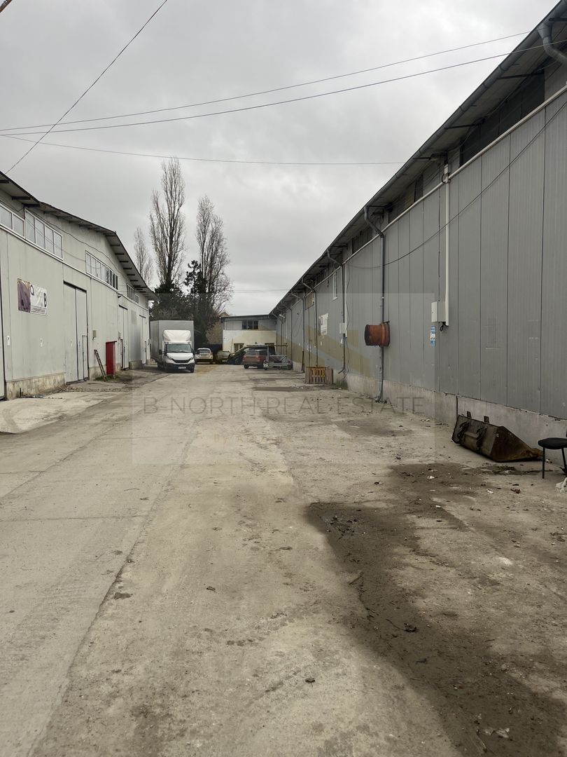 Hala de inchiriat - Poză 3