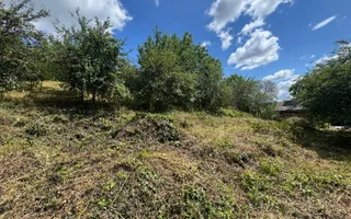 Casa cu 3 camere, 2300mp teren, zona SubPadure - Poză 12