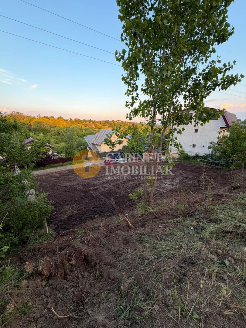 TEREN INTRAVILAN 500 MP REDIU - Pozitie excelentă - 49.000 Euro - Poză 10