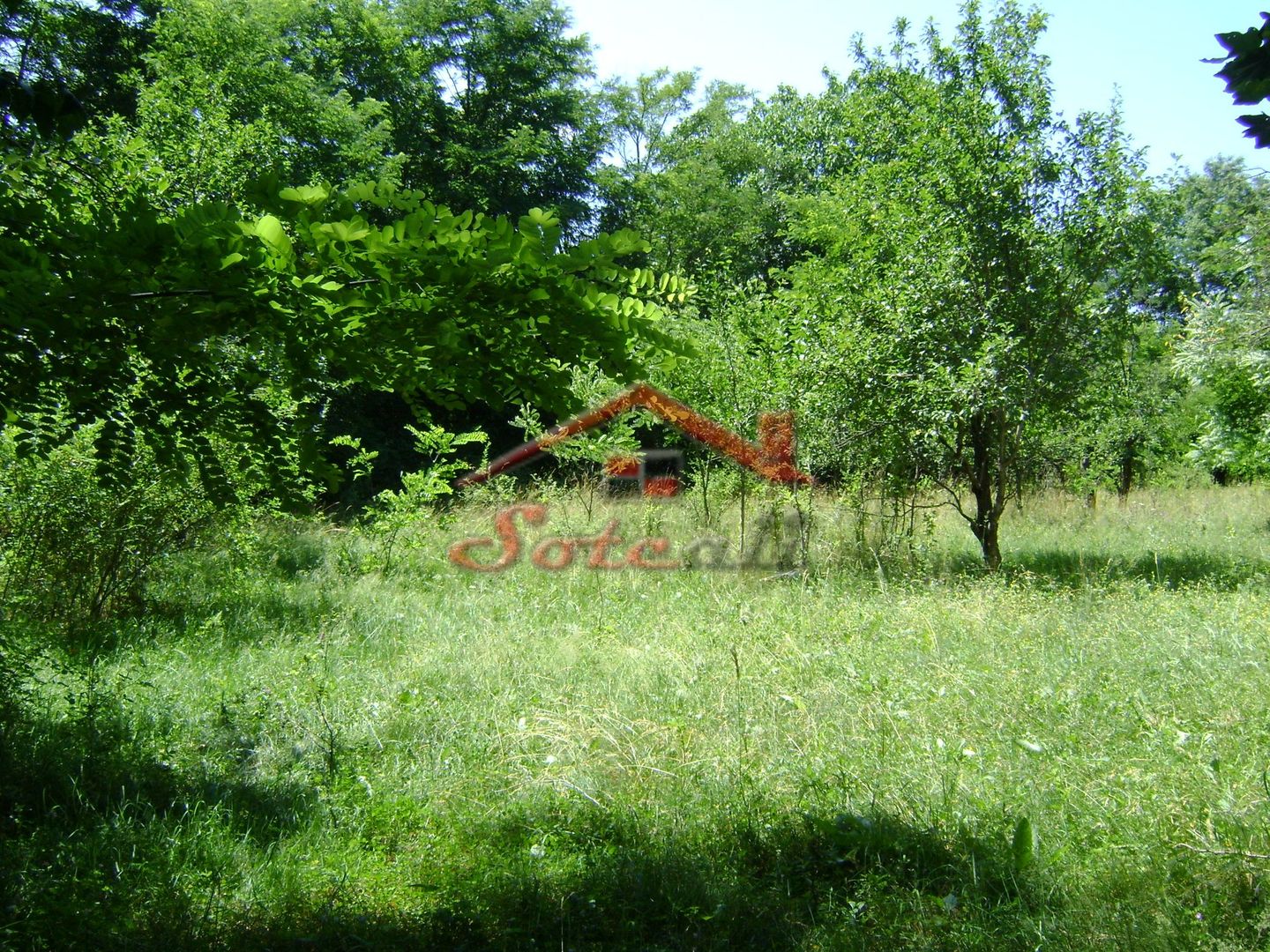 Teren de vanzare in Cornu 1585 mp - Negociabil - Poză 1