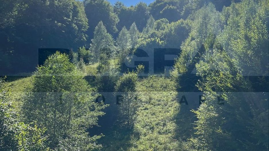 Casa individuala in constructie, pădure & priveliște spectaculoasă - Poză 6