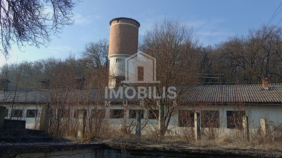 Teren intravilan I 13134 mp I cu potențial de business | zona Budiu - Poză 10