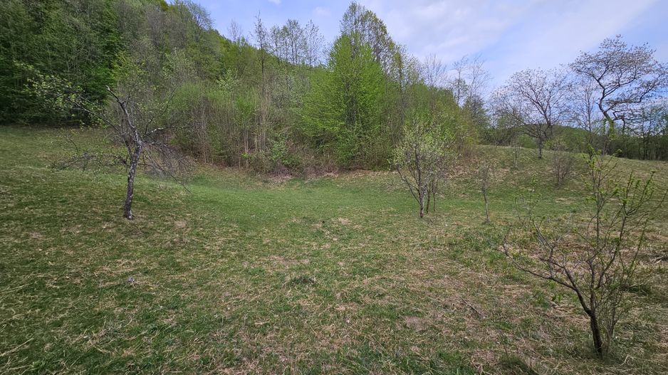 Teren intravilan 1454 mp la marginea padurii zona locuita de case! - Poză 10