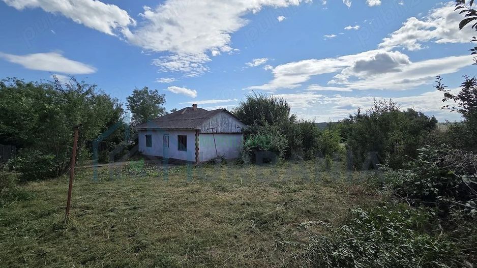 Teren intravilan 1.335 mp cu casă, comuna Erbiceni, județul Iași - Poză 2