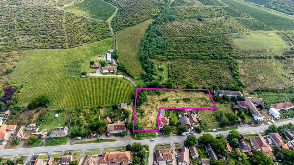 Teren de vis în Ghioroc! Stațiunea supranumită ”Litoralul Vestului” - Poză 8