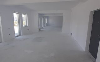 Spatiu comercial Dna Stanca Sibiu - Poză 3