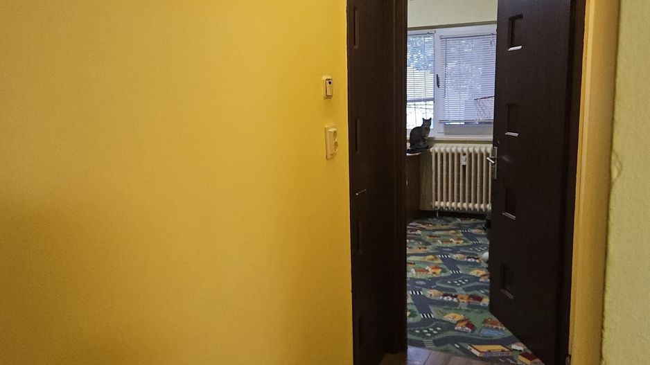 Apartament 2 camere cartier Sărari - Poză 4