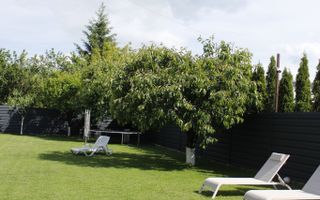 Casa de vanzare | Zona Dedeman - Poză 14