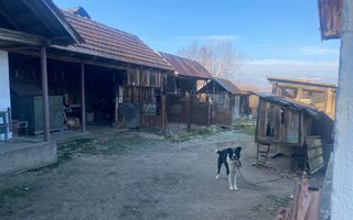 Proprietate cu potențial turistic și agricol | 7.661 mp|Șomanești-GORJ - Poză 7