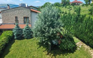 Casa individuala 240 utili, 850 teren, 2 garaje, zona Eugen Ionesco - Poză 2