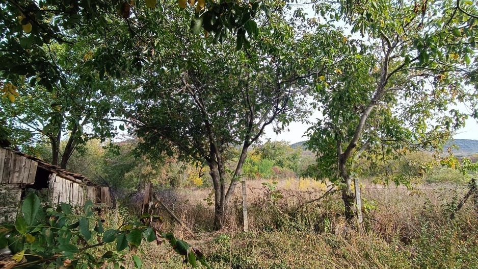 🏡  Casă de Poveste în Șiria, Arad- Locație Rară - Poză 13