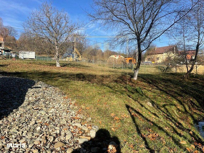 Teren 3349 mp de Vânzare | Bran – Panoramă Munții Bucegi - Poză 6