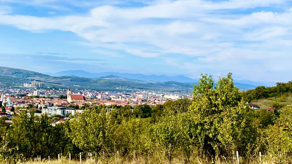 Teren de vanzare,16000 mp - parcelabil, 3 minute de centru! - Poză 5