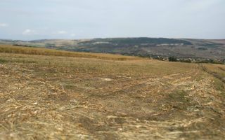 3 Parcele in Zona Fanate-oportunitate unica de investitie-Cluj-Napoca - Poză 2