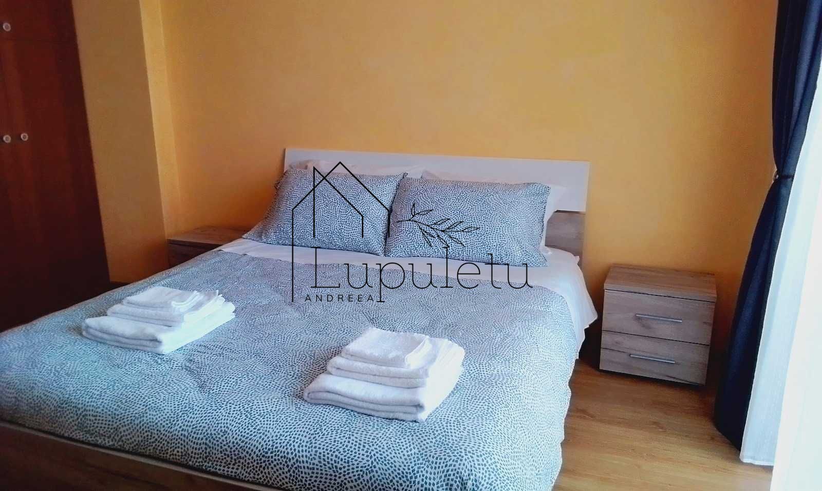 Apartament de Inchiriat | 36 MPU | Turnișor | Bloc cu lift - Poză 1