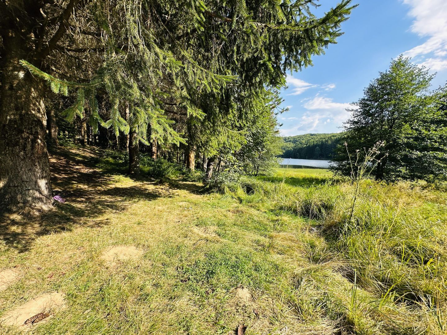 Un teren de vis cu deschidere la Lacul Trei Ape, Brebu Nou | Com 0% - Poză 4