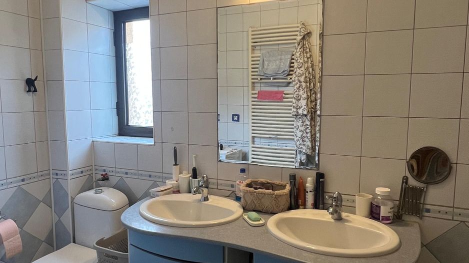 Vila Damaroaia - langa lacul Grivita - Poză 10