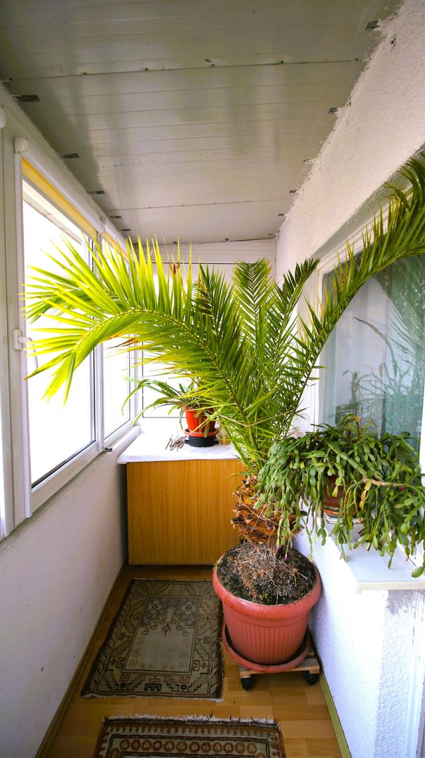 Reprezentare Exclusivă, Zona Ciucaș, 2 camere decomandate cu 2 balcoane - Poză 8