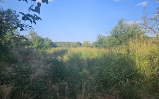 Casa de vanzare/Foisor/Dolj - Poză 22