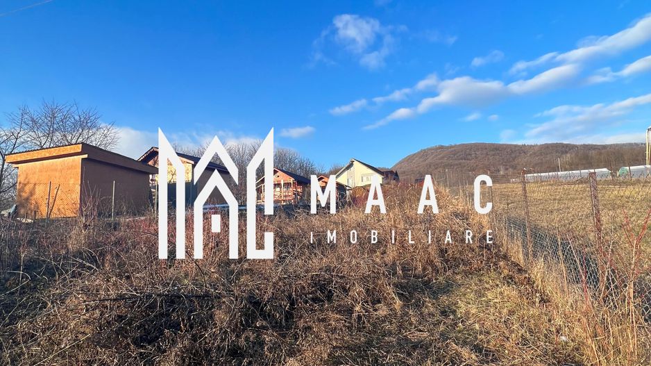 Teren Vladesti | 1025 MP | Zona White Department - Poză 3