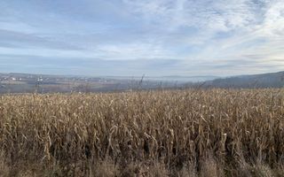 Teren intravilan de vânzare | Cajvana | 7.800 mp - Poză 1