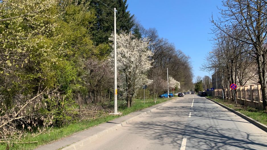 192842 mp teren in Padurea Baneasa proiect exclusivist - Poză 3