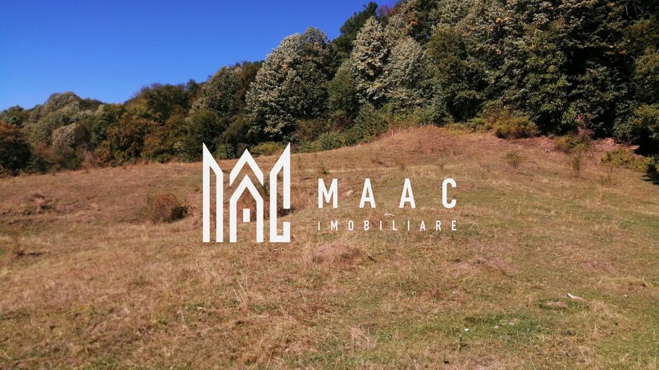 Teren Extravilan 20.000Mp I Stoenești -Vâlcea I Apă Curentă și Pădure - Poză 13