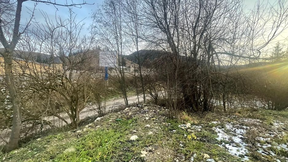 TEREN INTRAVILAN 2,26 HA | SUCEVITA | - Poză 15