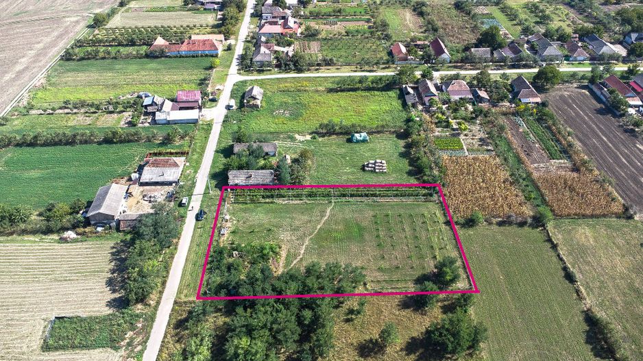 Pret redus Teren generos, intravilan in Șimand - Poză 1