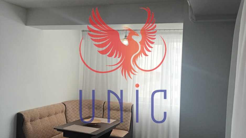 Super pret! 2 camere, Brazda lui Novac - Poză 19