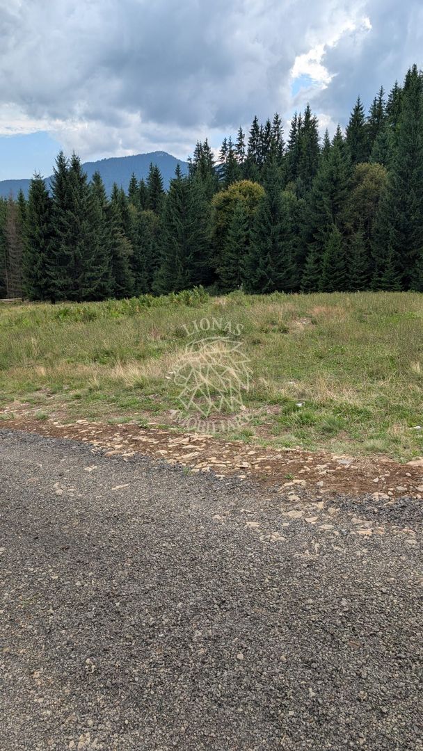 OFERTA! Teren intravilan 700 mp cu utilitati-ideal cabana-Colibita - Poză 1